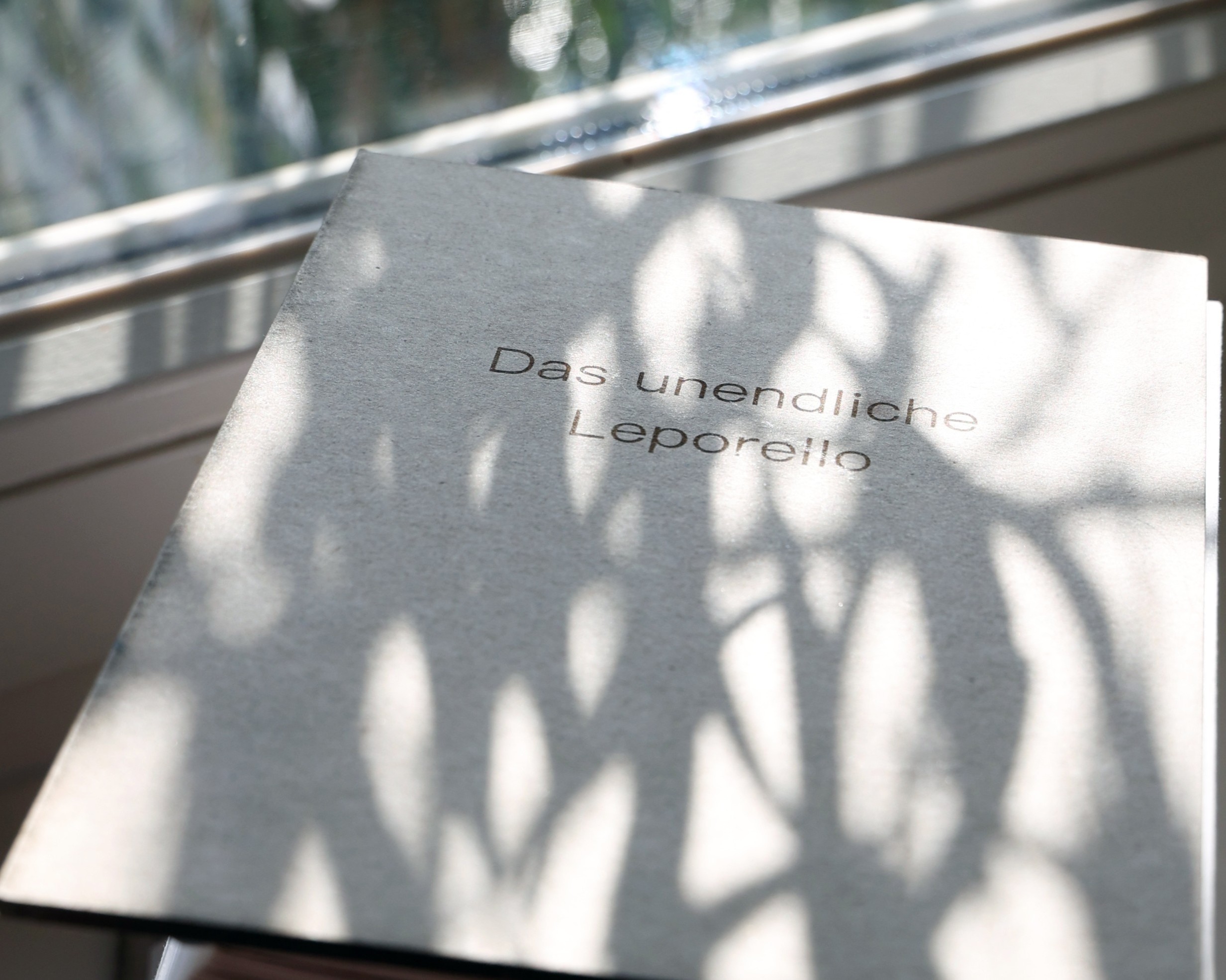 Blick auf ein Buch auf einer Fensterbank, auf dessen Cover sich der Schatten von draußen wirft. Auf dem Cover steht 